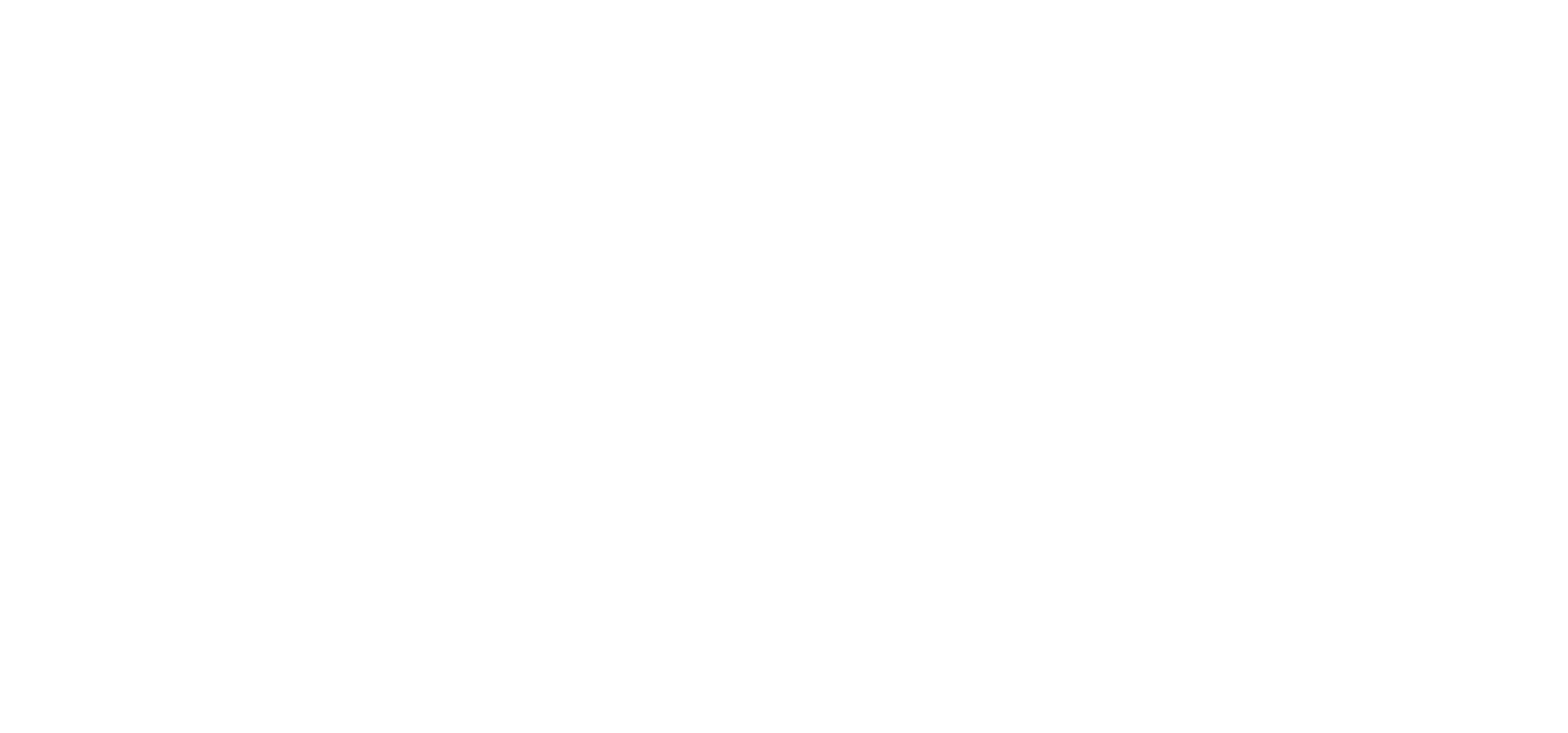 Logo_Ping_Branca